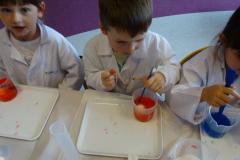 DSC03110.JPG