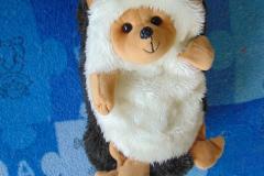 DSC00428.JPG