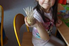 DSC04686.JPG