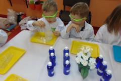 DSC01064.JPG