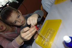 DSC01119.JPG