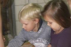 pict0014.jpg