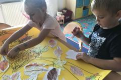 IMG_6832.jpg