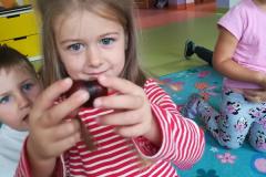 IMG_20180924_123352.jpg