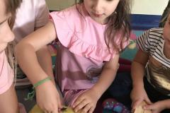 IMG_7049.jpg
