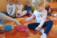 DSC04445.JPG