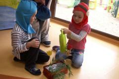 pict0299.jpg