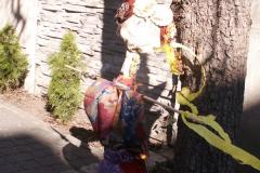 pict0276.jpg