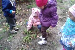 20141031_111614.jpg