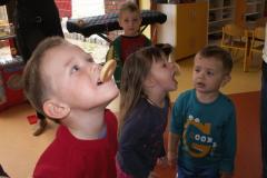 pict0073.jpg