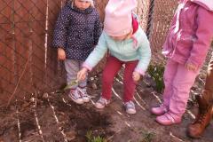 pict0970.jpg