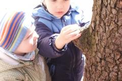 pict0999.jpg