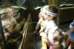 pict0103.jpg