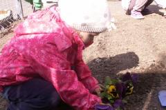 pict0299.jpg