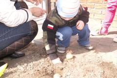 pict0331.jpg