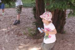 pict0512.jpg