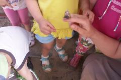 pict0479.jpg