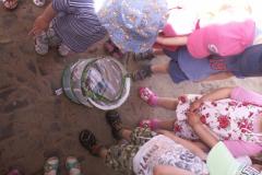 pict0478.jpg