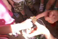 pict0485.jpg