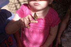 pict0487.jpg
