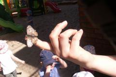 pict0498.jpg