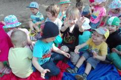 IMG_20160601_104440.jpg
