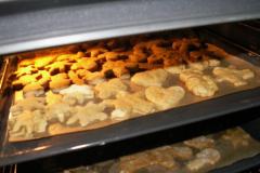 PICT0360.JPG